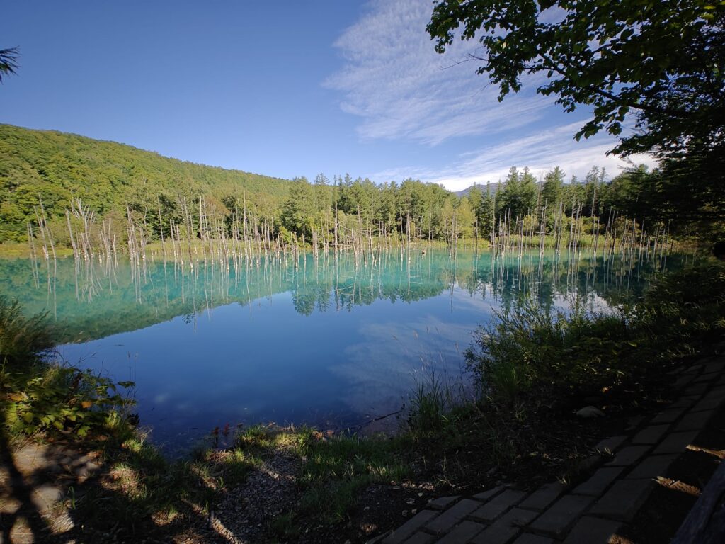 Biei Shirogane (engl. Blue pond) on yksi Hokkaidon suosituimmista nähtävyyksistä hohtavan sinisen vetensä ansiosta. Kuva: Marko Lahti